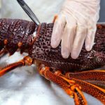 American Food – GIANT RED AUSTRALIAN LOBSTERS Park Asia Brooklyn Seafood NYC