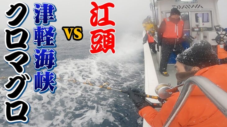 江頭、津軽海峡で【黒いダイヤ】クロマグロを釣る！