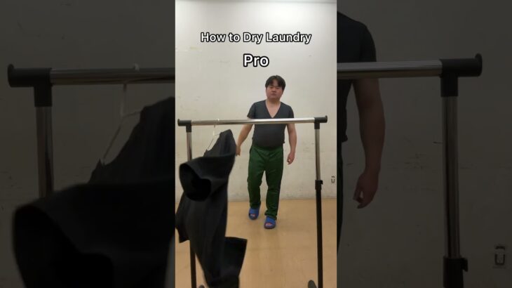 Normal vs Pro vs Pro max