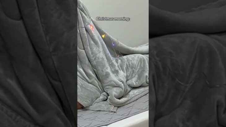 Christmas morning tree🎄🎄🎄#shorts