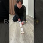 Easter Eggs✨#shorts