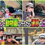 【運命の出会いが…】はるちゃんと動物園に行った結果…運命の出会いが…〜1人っ子企画〜