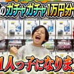 【1人っ子なります】コジサックはじめてのガチャガチャ１万円やり放題！！