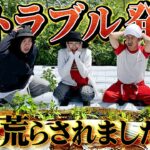 【大トラブル発生】畑が荒らされてキャベツが作れなくなりました