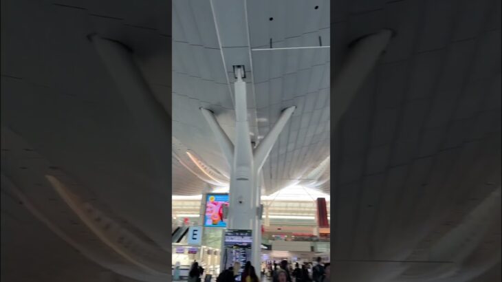 uespiiiii.1115 funny video 😂😂😂 | Mr Uekusa Best TikTok 2025 October #shorts